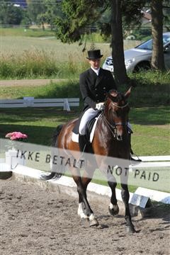 135676_sg_01_IMG_7559.JPG