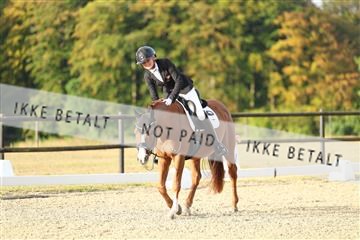 181894_mtp_04_R62_3096.JPG