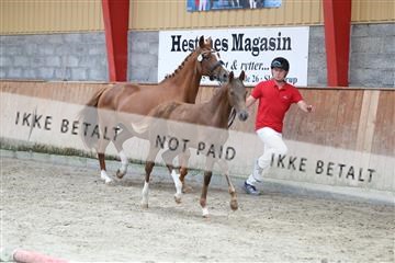 181868_mtp_03_R62_5899.JPG