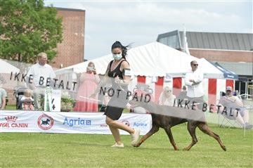 168981_bkn_01__MHR0337.JPG