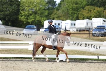 181894_mtp_05_R62_4488.JPG