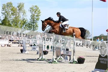 181436_avh_02_3629.JPG