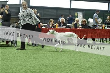 163793_bkn_01__BKN9216.JPG