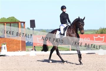 181449_bc_01R62_6164.JPG