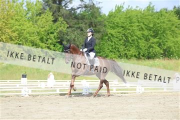 174661_kbb_01_R6II6507.JPG