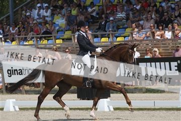 125257_abo_14_IMG_1875.JPG