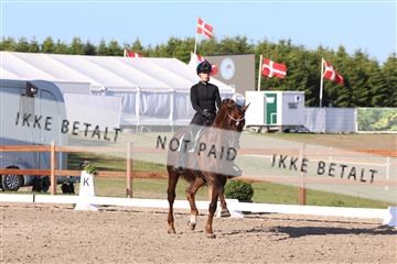 181449_bc_01R62_6390.JPG