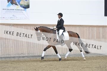 160111_nn_01__ESK2068.JPG