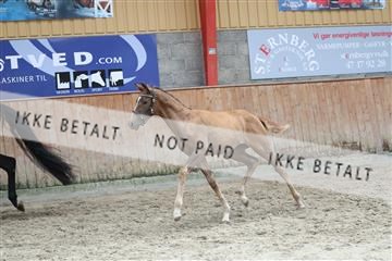 181868_mtp_03_R62_6326.JPG
