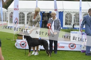 175267_bkn_01__JBR0880.JPG