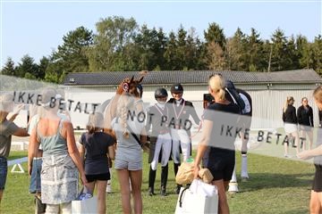 163526_mlm_02_IMG_3547.JPG