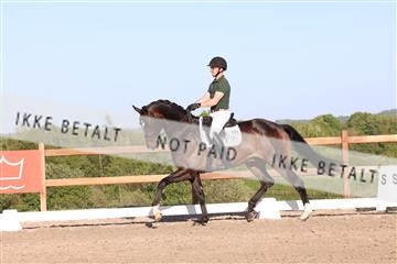 181449_bc_01R62_6443.JPG