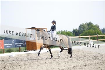 181449_kbb_02_6II1404.JPG