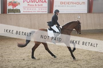 173782_mtp_01_3M5A6997.JPG