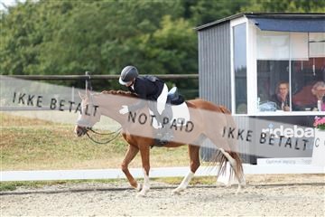 181894_mtp_05_R62_4499.JPG