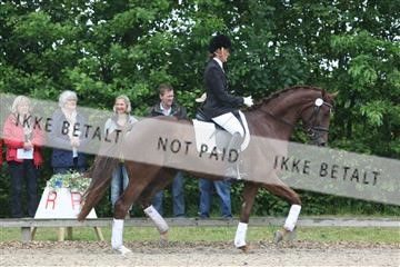 135518_ms_01_IMG_0816.JPG