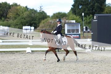 181894_mtp_05_R62_5317.JPG