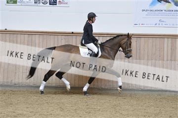 160111_nn_01__ESK1651.JPG