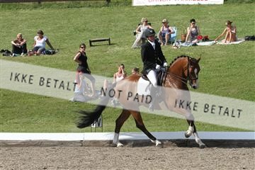 135676_sg_01_IMG_9774.JPG