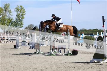 181436_avh_02_3587.JPG