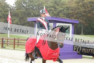 181923_mtp_04_R62_9091.JPG