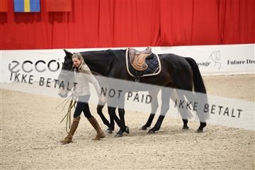 178838_mtp_04_0E6A4423.JPG