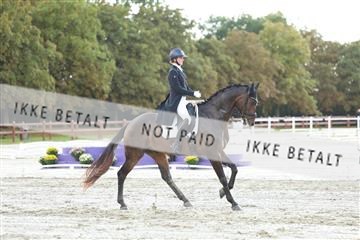 181923_mtp_04_R62_9209.JPG