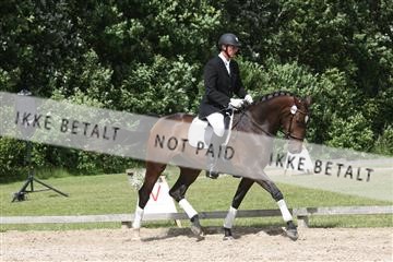 135518_ms_02_IMG_2749.JPG