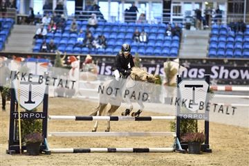 161006_abo_01__D051687.JPG