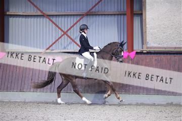 173883_mtp_01_3M5A9852.JPG