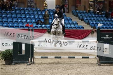 175934_avh_02_7791.JPG