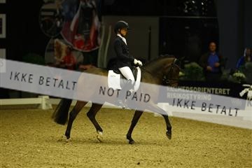 144963_ms_01__MG_9950.JPG