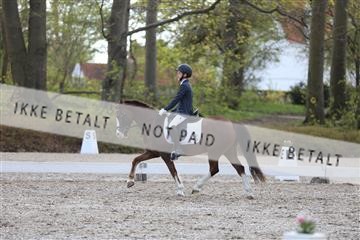 174512_mtp_01_3M5A7058.JPG