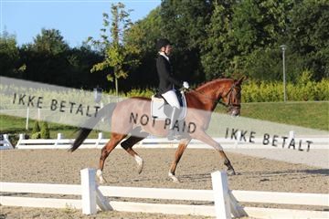 148862_sg_01_IMG_2265.JPG