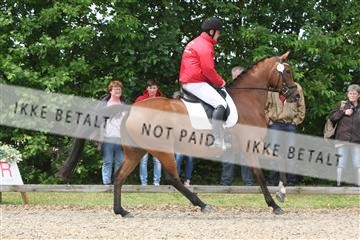 135518_ms_01_IMG_1447.JPG