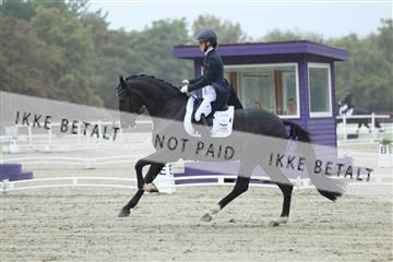 181923_mtp_03_R62_7743.JPG