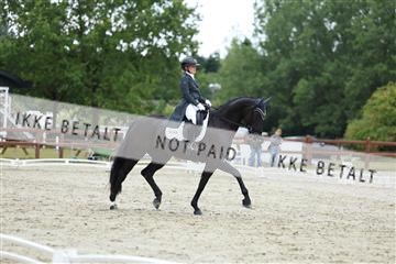181923_mtp_01_R62_6964.JPG