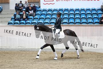 181887_mtp_04_R62_8527.JPG