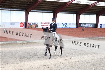 175442_kbb_01_R6II0163.JPG