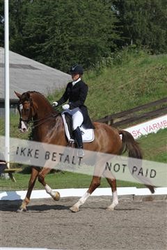 135676_sg_01_IMG_7705.JPG