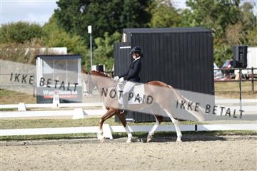 181894_mtp_05_R62_4847.JPG