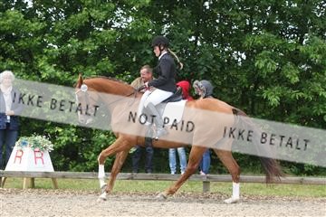 135518_ms_01_IMG_1411.JPG