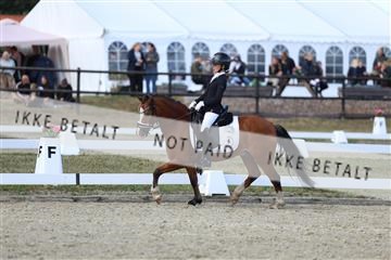 181894_mtp_05_R62_5309.JPG