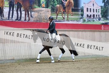 181887_mtp_04_R62_8383.JPG