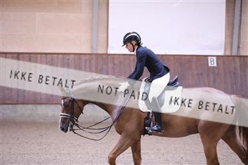 173821_mtp_01_3M5A8968.JPG