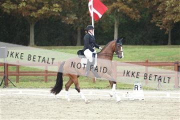 181923_mtp_04_R62_8976.JPG
