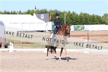 181449_bc_01R62_6036.JPG