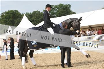 125527_TBJ_08_IMG_3975.JPG