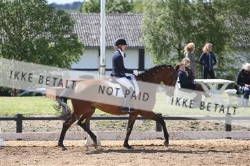 147698_nn_01_IMG_0007.JPG