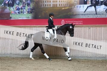 181887_mtp_01_R62_6926.JPG